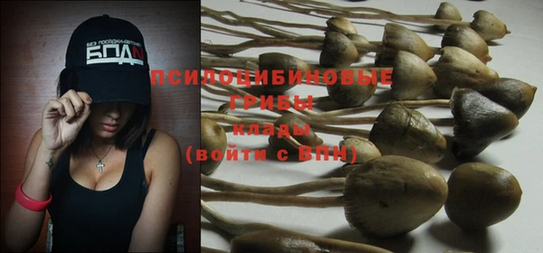 ГАЛЛЮЦИНОГЕННЫЕ ГРИБЫ Горняк