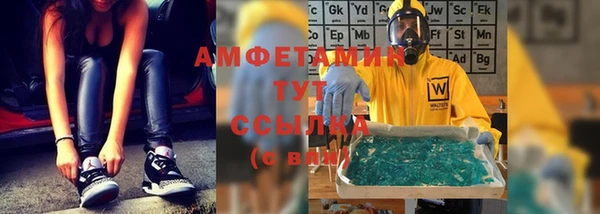 шишки Горно-Алтайск