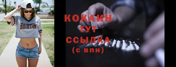 ГАЛЛЮЦИНОГЕННЫЕ ГРИБЫ Горняк