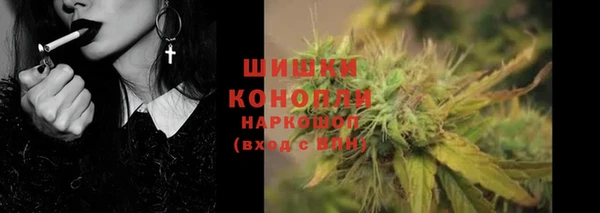 ГАЛЛЮЦИНОГЕННЫЕ ГРИБЫ Горняк