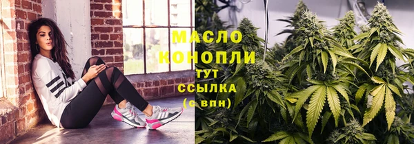 шишки Горно-Алтайск