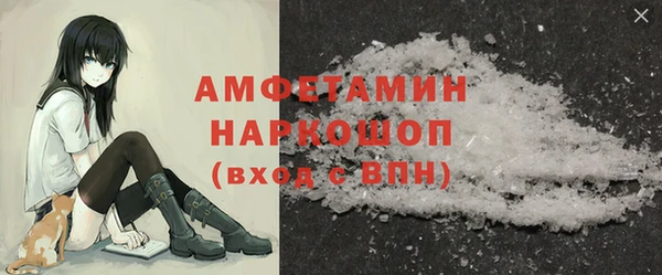 ГАЛЛЮЦИНОГЕННЫЕ ГРИБЫ Горняк