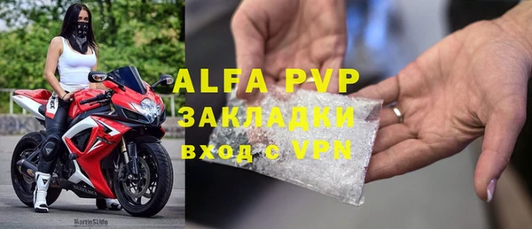ГАЛЛЮЦИНОГЕННЫЕ ГРИБЫ Горняк