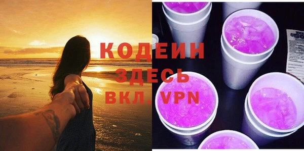 шишки Горно-Алтайск