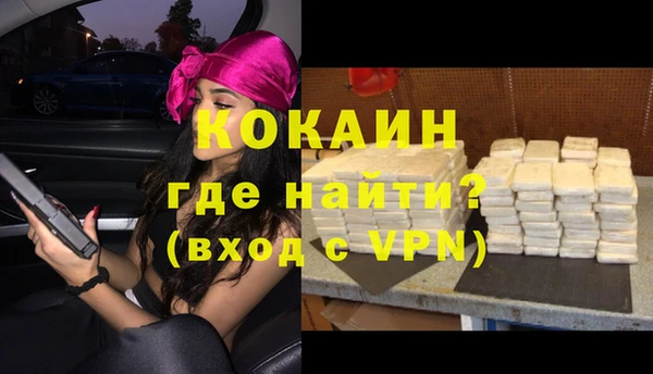 шишки Горно-Алтайск