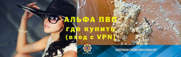 шишки Горно-Алтайск
