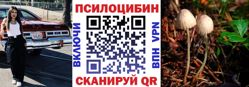 Псилоцибиновые грибы Cubensis  Купить закладки  Дюртюли 